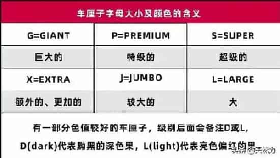 果实科普|车厘子的级别是怎么划分的（车厘子大小等级划分图JJJJ）
