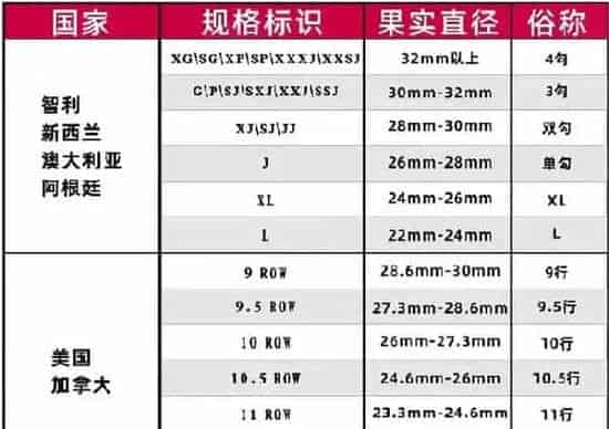 果实科普|车厘子的级别是怎么划分的（车厘子大小等级划分图JJJJ）