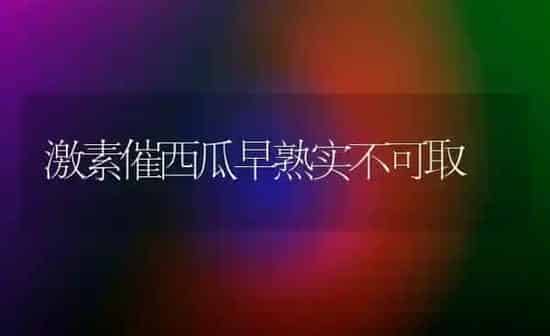 激素催西瓜早熟实不可取 | 瓜果种植