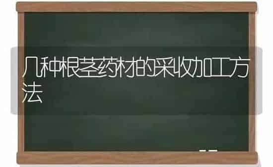 几种根茎药材的采收加工方法 | 药材种植