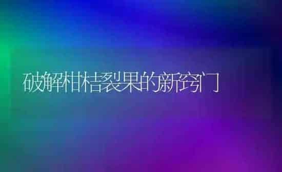 破解柑桔裂果的新窍门 | 瓜果种植