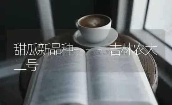 甜瓜新品种---吉林农大二号 | 瓜果种植