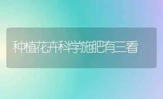 种植花卉科学施肥有三看 | 种植肥料施肥