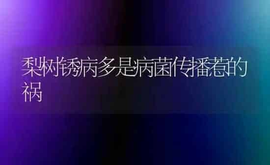 梨树锈病多是病菌传播惹的祸 | 瓜果种植