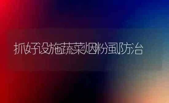 抓好设施蔬菜烟粉虱防治 | 蔬菜种植