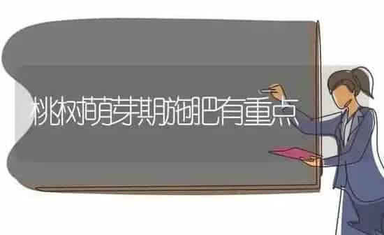 桃树萌芽期施肥有重点 | 种植肥料施肥