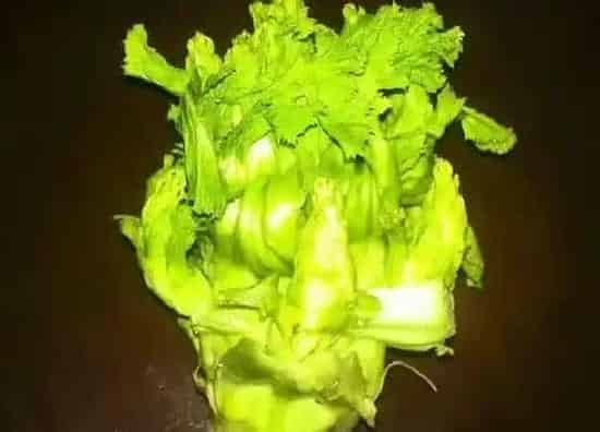 植物百科|头菜又叫什么名字
