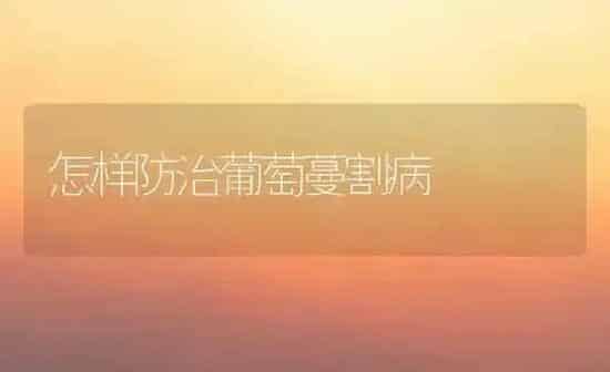 怎样防治葡萄蔓割病 | 瓜果种植