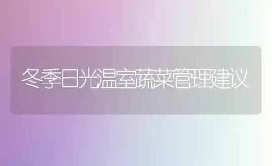 冬季日光温室蔬菜管理建议 | 蔬菜种植