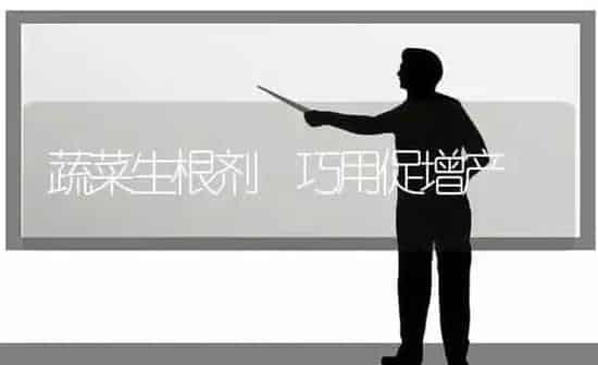 蔬菜生根剂 巧用促增产 | 蔬菜种植