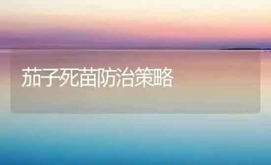 茄子死苗防治策略 | 蔬菜种植