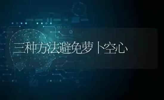三种方法避免萝卜空心 | 蔬菜种植
