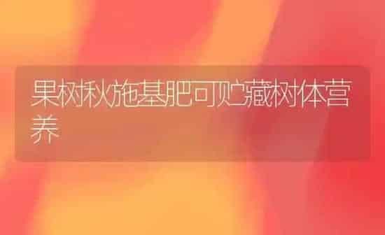 果树秋施基肥可贮藏树体营养 | 瓜果种植