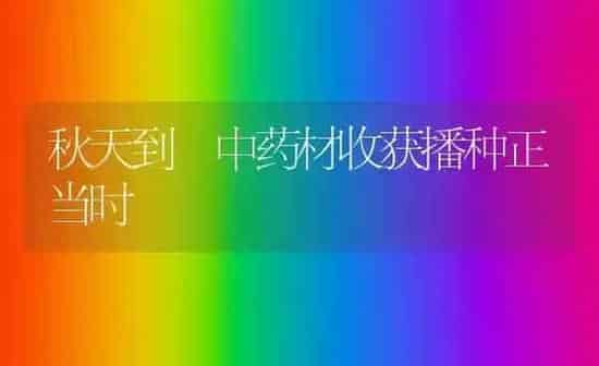 秋天到 中药材收获播种正当时 | 药材种植