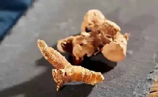 功效常识|高良姜的功效与作用