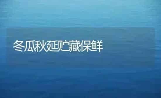 冬瓜秋延贮藏保鲜 | 蔬菜种植