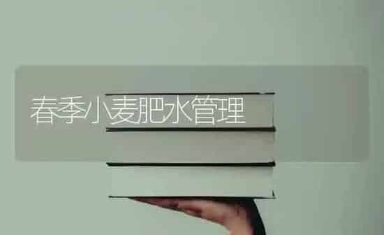 春季小麦肥水管理 | 粮油作物种植