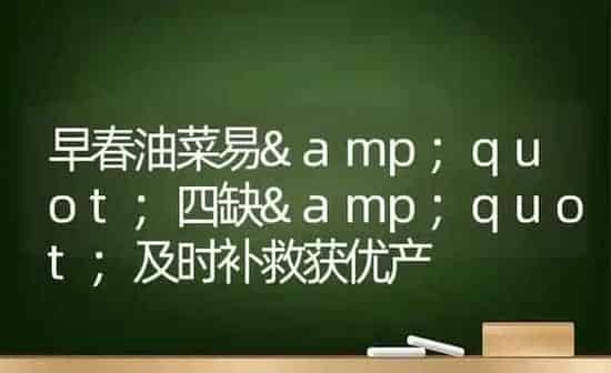 早春油菜易"四缺"及时补救获优产 | 粮油作物种植