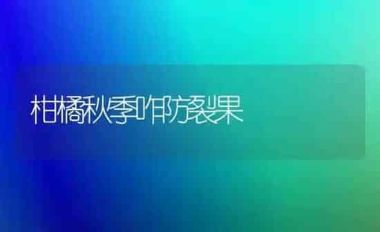 柑橘秋季咋防裂果 | 瓜果种植