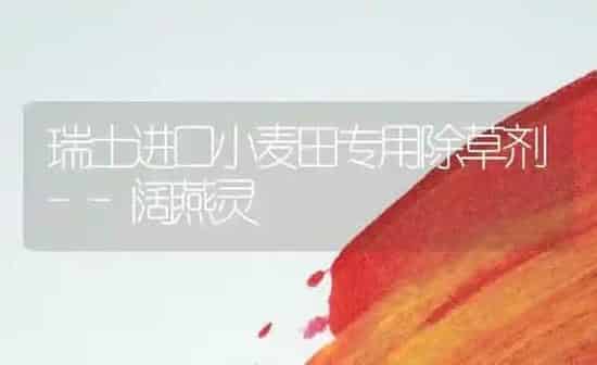 瑞士进口小麦田专用除草剂--阔燕灵 | 粮油作物种植