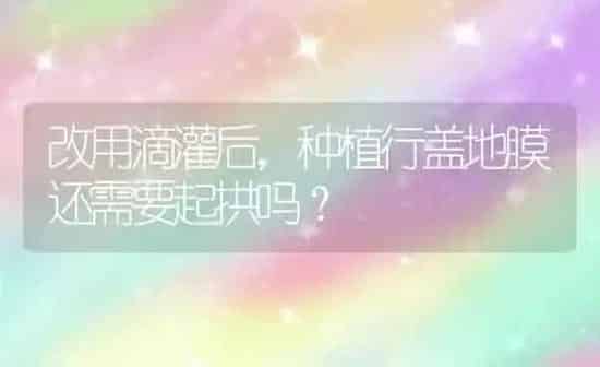 改用滴灌后,种植行盖地膜还需要起拱吗? | 植物种植百科
