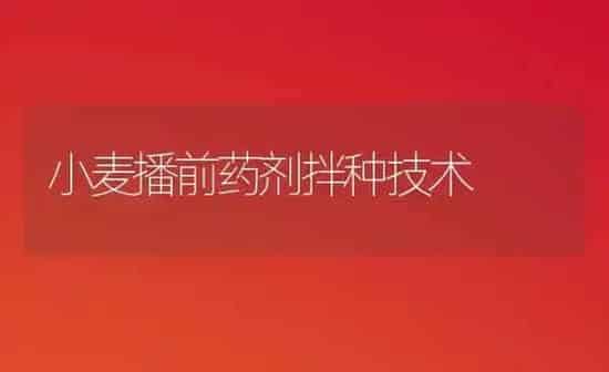 小麦播前药剂拌种技术 | 粮油作物种植