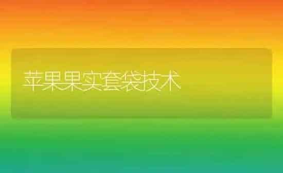 苹果果实套袋技术 | 瓜果种植
