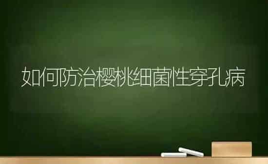 如何防治樱桃细菌性穿孔病 | 瓜果种植