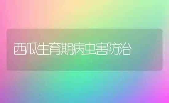 西瓜生育期病虫害防治 | 种植病虫害防治