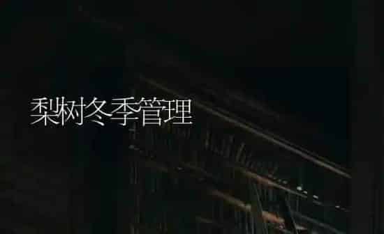 梨树冬季管理 | 瓜果种植