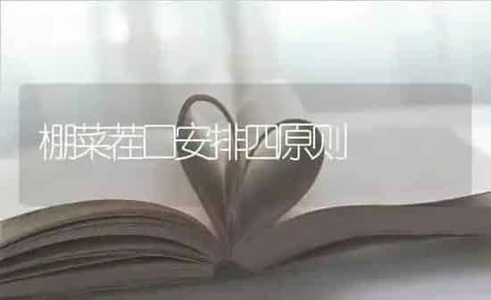 棚菜茬口安排四原则 | 蔬菜种植