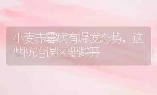 小麦赤霉病有爆发态势，这些防治误区要避开 | 粮油作物种植