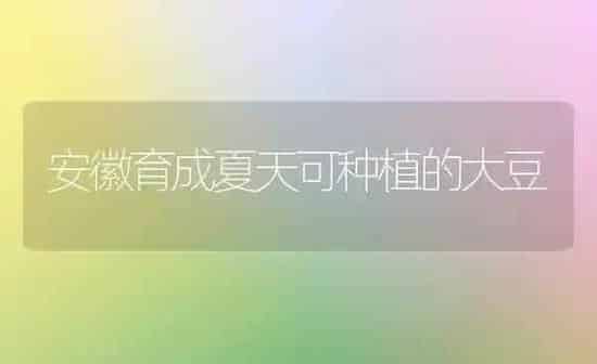 安徽育成夏天可种植的大豆 | 粮油作物种植