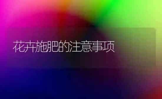 花卉施肥的注意事项 | 种植肥料施肥