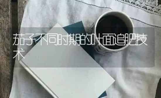 茄子不同时期的叶面追肥技术 | 蔬菜种植