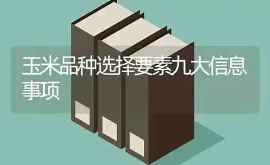 玉米品种选择要素九大信息事项 | 粮油作物种植