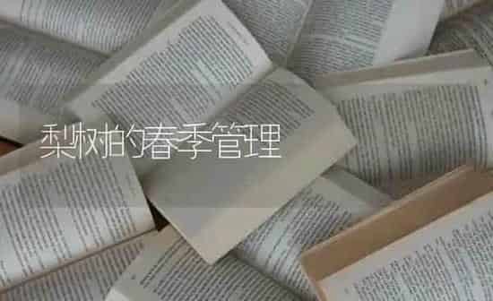 梨树的春季管理 | 瓜果种植