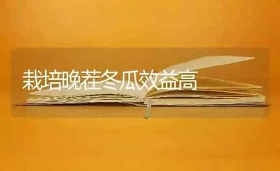 栽培晚茬冬瓜效益高 | 蔬菜种植