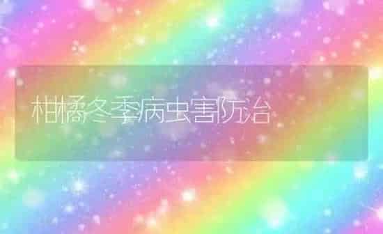 柑橘冬季病虫害防治 | 种植病虫害防治