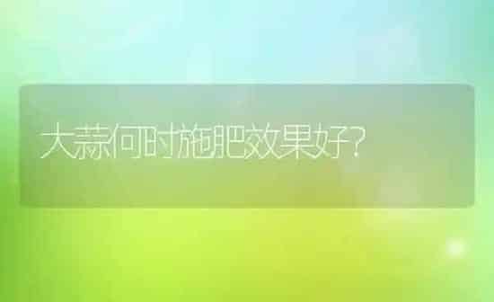 大蒜何时施肥效果好？ | 瓜果种植