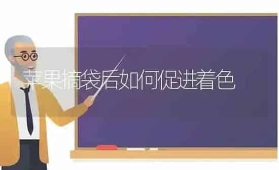 苹果摘袋后如何促进着色 | 瓜果种植