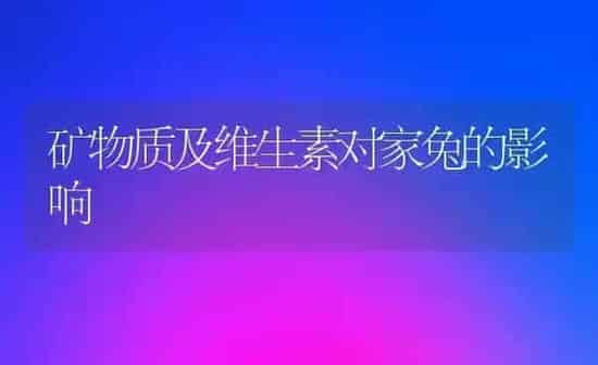 草莓基质育苗“喝”水有讲究 | 瓜果种植