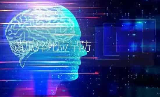 黄瓜猝死应早防 | 蔬菜种植
