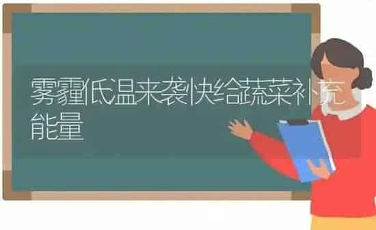 雾霾低温来袭快给蔬菜补充能量 | 蔬菜种植