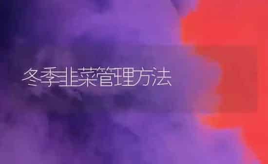 冬季韭菜管理方法 | 蔬菜种植