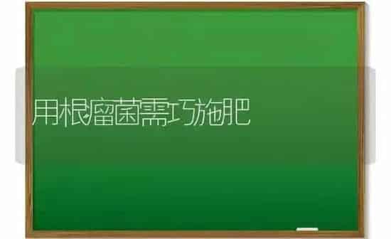 用根瘤菌需巧施肥 | 种植肥料施肥