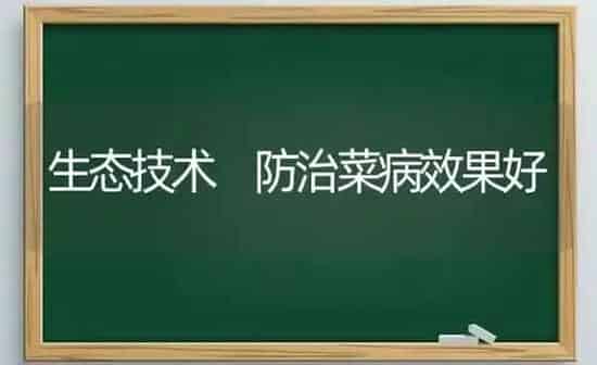 生态技术 防治菜病效果好 | 瓜果种植
