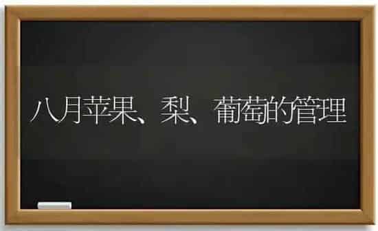 八月苹果、梨、葡萄的管理 | 瓜果种植