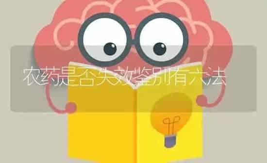 农药是否失效鉴别有六法 | 种植病虫害防治