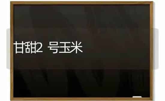 甘甜2号玉米 | 粮油作物种植